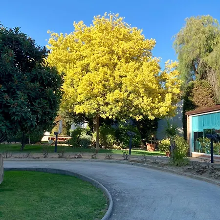 Park Sedo Rubí